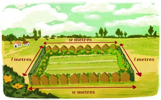 Fig. 2.2: Rectangular garden of length ℓ and width w (Example 2)