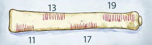 Fig. 3.1: Representation of the prime number tally groupings found on the Ishango bone