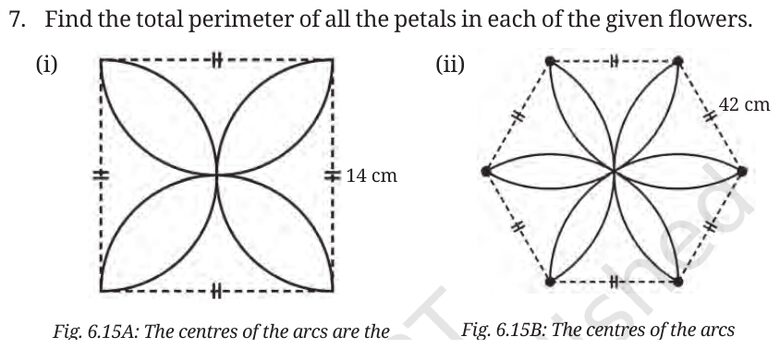 Fig. 6.15A–B: Petal flowers