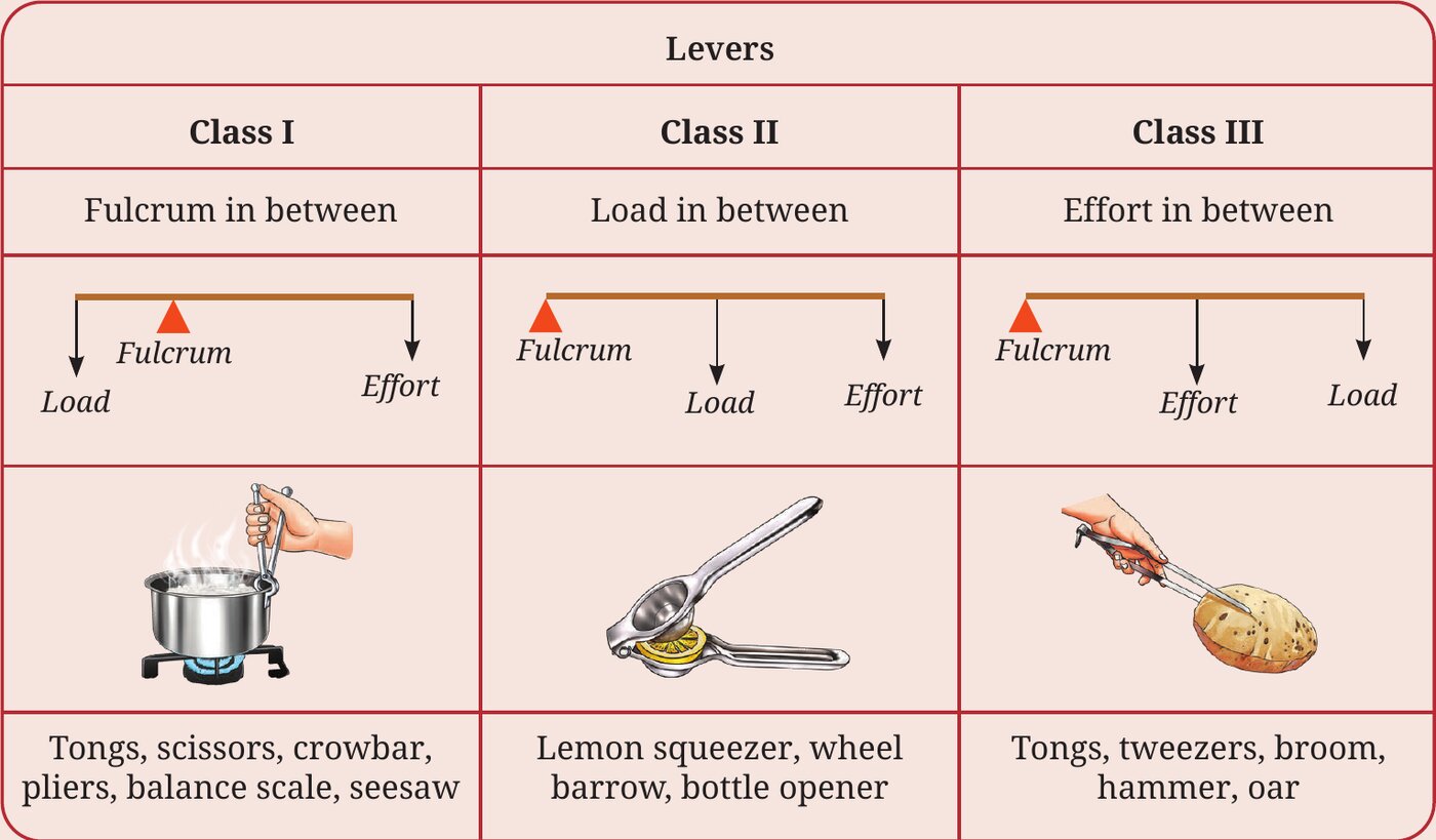 Table 7.2: Classes of levers — scissors are Class I (fulcrum in between)