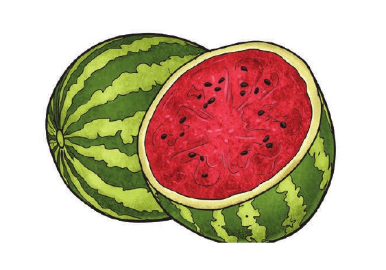 Fig. 8.3: Watermelon — red pulp ≈ positive charge, seeds ≈ electrons