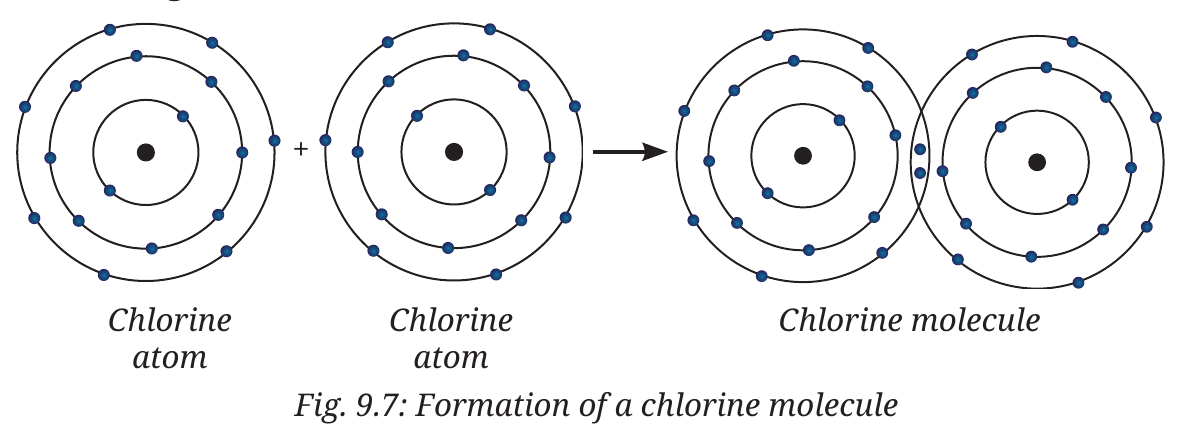 Fig. 9.7: Chlorine molecule — fluorine bonds the same way