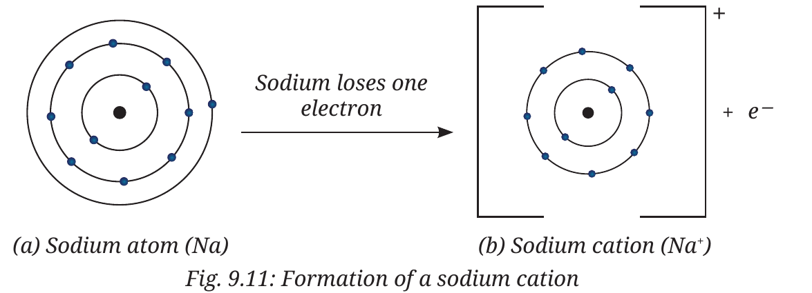 Fig. 9.11: Formation of a sodium cation (2, 8, 1 → 2, 8)