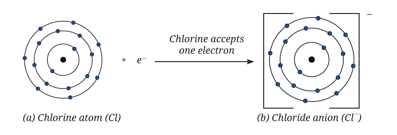 Fig. 9.12: Chlorine gains one electron to become Cl⁻