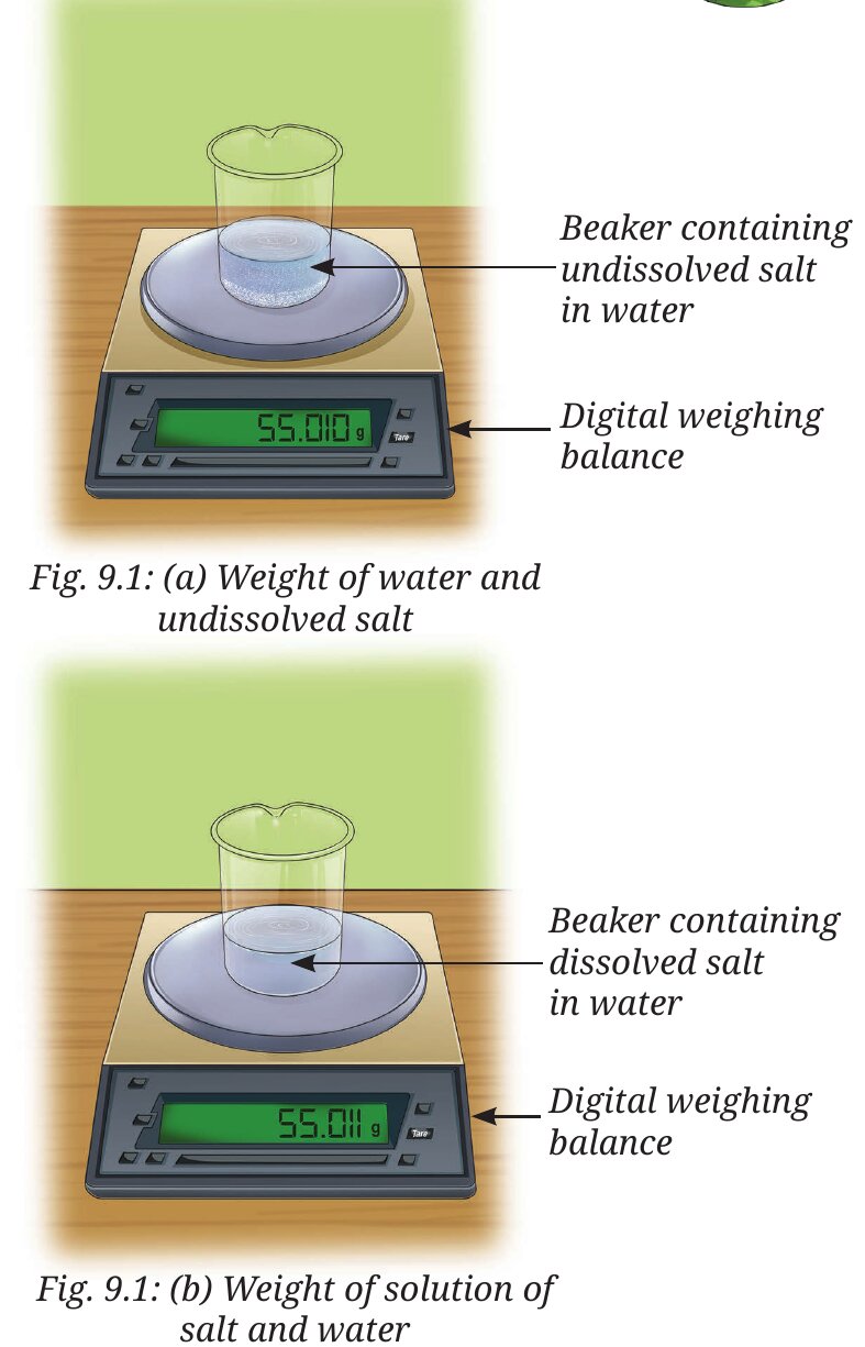 Fig. 9.1: (a) water + undissolved salt, (b) salt solution — same reading